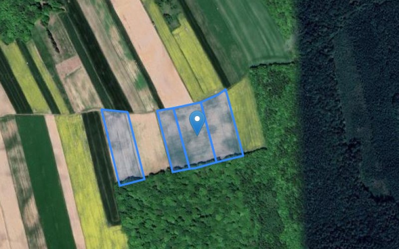 Grunt w miejscowości Uchanie Kolonia, Uchanie Kolonia (lubelskie). Działki numer: 62/1, 65, 64, 63. Działki i grunty. Uchanie Kolonia, 22-510, Uchanie Kolonia, (woj. lubelskie)