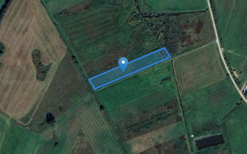 Grunt w miejscowości Bebelno-Wieś, Bebelno-Wieś (świętokrzyskie). Działka numer: 163. Działki i grunty. Bebelno-Wieś, 29-100, Bebelno-Wieś, (woj. świętokrzyskie)