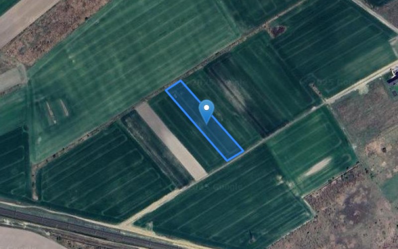 Grunt w miejscowości Grzędzice, Grzędzice (zachodniopomorskie). Działka numer: 503. Działki i grunty. Grzędzice, 73-110, Grzędzice, (woj. zachodniopomorskie)