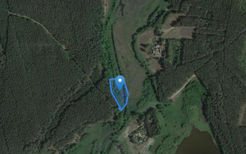 Grunt w miejscowości Skórzenno, Skórzenno (pomorskie). Działka numer: 31. Działki i grunty. Skórzenno, 83-221, Skórzenno, (woj. pomorskie)