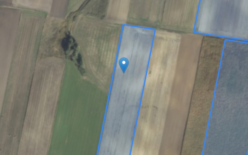 Grunt w miejscowości Dobromierzyce, Gdeszyn, Dobromierzyce, Gdeszyn (lubelskie). Działki numer: 431, 434, 437, 764/1, 764/2, 154, 157, 123. Działki i grunty. Dobromierzyce, Gdeszyn, 22-550, Dobromierzyce, Gdeszyn, (woj. lubelskie)