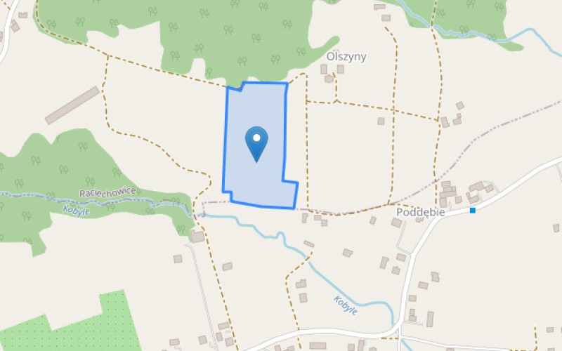 Grunt w miejscowości Raciechowice, Raciechowice (małopolskie). Działka numer: 422. Działki i grunty. Raciechowice, 32-415, Raciechowice, (woj. małopolskie)