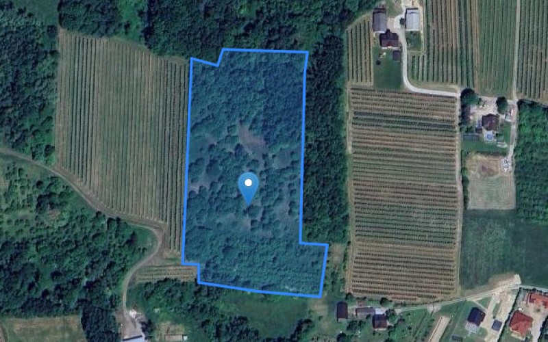 Grunt w miejscowości Raciechowice, Raciechowice (małopolskie). Działka numer: 422. Działki i grunty. Raciechowice, 32-415, Raciechowice, (woj. małopolskie)