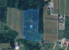 Grunt w miejscowości Raciechowice, Raciechowice (małopolskie). Działka numer: 422. Raciechowice, 32-415, Raciechowice, (woj. małopolskie)