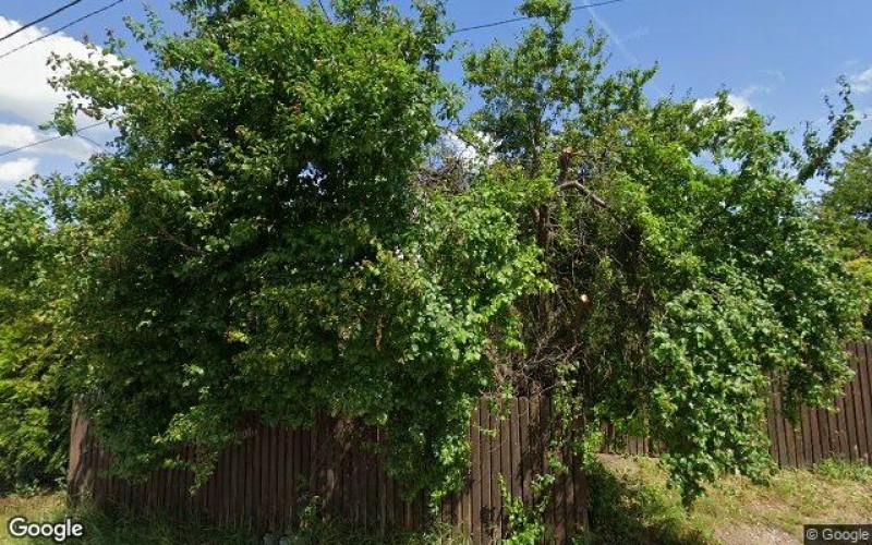 Dom w miejscowości Choroń, Partyzantów 28 (śląskie). Działka numer: 1047/2. Domy. Partyzantów 28, 42-360, Choroń, (woj. śląskie)