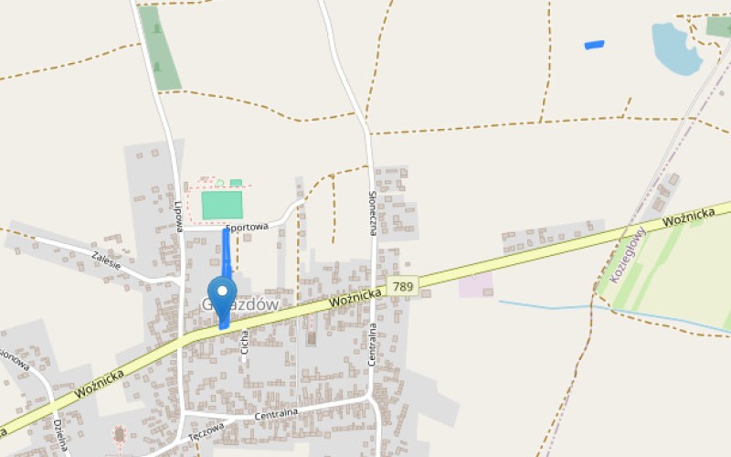 Dom w miejscowości Gniazdów, Woźnicka 102 (śląskie). Działki numer: 3081/2, 3082/6, 3082/3, 3338/2. Domy. Woźnicka 102, 42-350, Gniazdów, (woj. śląskie)