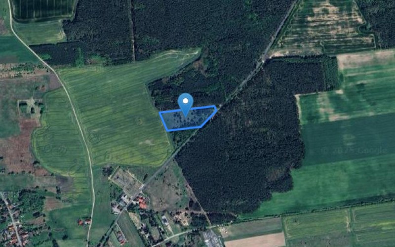 Grunt w miejscowości Barnkowo, Barnkowo (zachodniopomorskie). Działka numer: 303/7. Działki i grunty. Barnkowo, 74-500, Barnkowo, (woj. zachodniopomorskie)