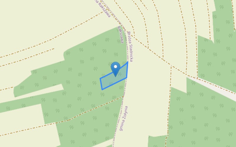 Grunt w miejscowości Rakszawa, Rakszawa (podkarpackie). Działka numer: 4864. Działki i grunty. Rakszawa, 37-111, Rakszawa, (woj. podkarpackie)