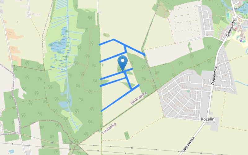 Grunt w miejscowości Jankowice, Jankowice (wielkopolskie). Działki numer: 419, 422, 446, 450, 434, 430. Działki i grunty. Jankowice, 62-080, Jankowice, (woj. wielkopolskie)