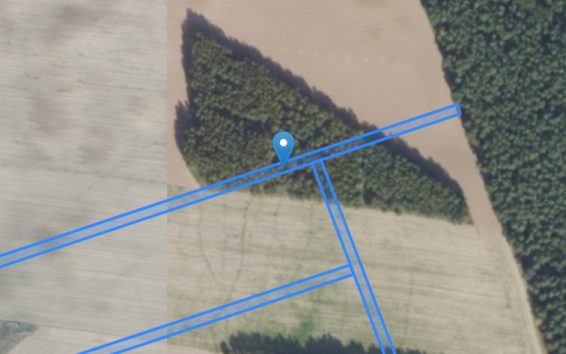 Grunt w miejscowości Jankowice, Jankowice (wielkopolskie). Działki numer: 419, 422, 446, 450, 434, 430. Działki i grunty. Jankowice, 62-080, Jankowice, (woj. wielkopolskie)