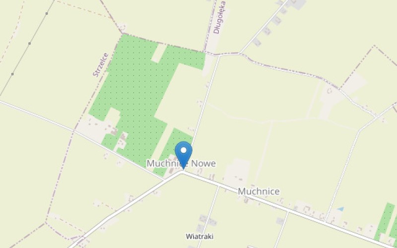 Grunt w miejscowości Muchnice Nowe, Muchnice Nowe (łódzkie). Działka numer: 21. Działki i grunty. Muchnice Nowe, 99-307, Muchnice Nowe, (woj. łódzkie)