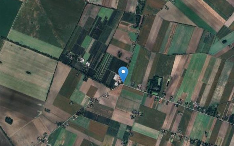 Grunt w miejscowości Muchnice Nowe, Muchnice Nowe (łódzkie). Działka numer: 21. Działki i grunty. Muchnice Nowe, 99-307, Muchnice Nowe, (woj. łódzkie)