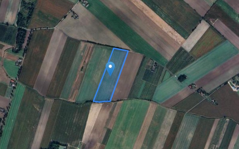 Grunt w miejscowości Muchnice Nowe, Muchnice Nowe (łódzkie). Działka numer: 22. Działki i grunty. Muchnice Nowe, 99-307, Muchnice Nowe, (woj. łódzkie)