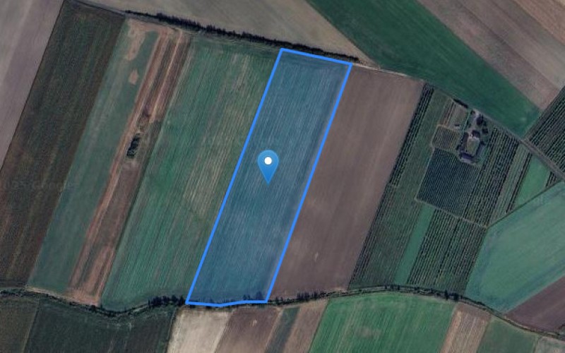 Grunt w miejscowości Muchnice Nowe, Muchnice Nowe (łódzkie). Działka numer: 22. Działki i grunty. Muchnice Nowe, 99-307, Muchnice Nowe, (woj. łódzkie)