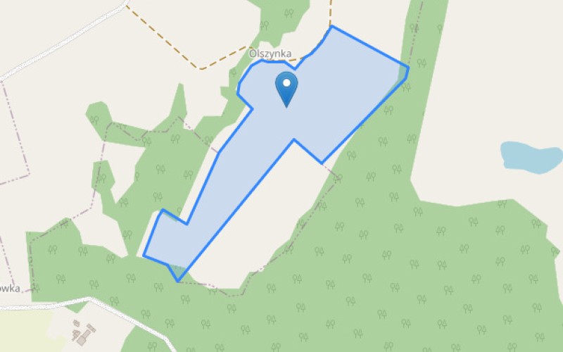 Grunt w miejscowości Ojcowa Wola, Ojcowa Wola (warmińsko-mazurskie). Działka numer: 216. Działki i grunty. Ojcowa Wola, 14-420, Ojcowa Wola, (woj. warmińsko-mazurskie)