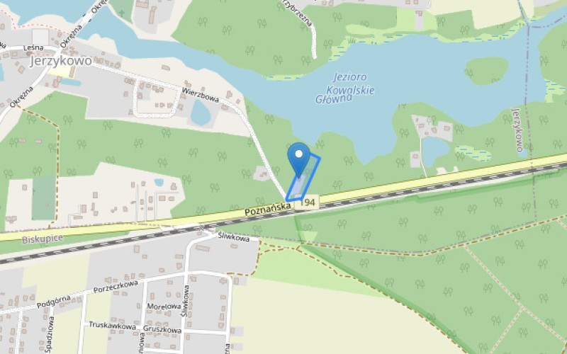 Grunt w miejscowości Jerzykowo, Poznańska 55 (wielkopolskie). Działka numer: 316. Działki i grunty. Poznańska 55, 62-007, Jerzykowo, (woj. wielkopolskie)