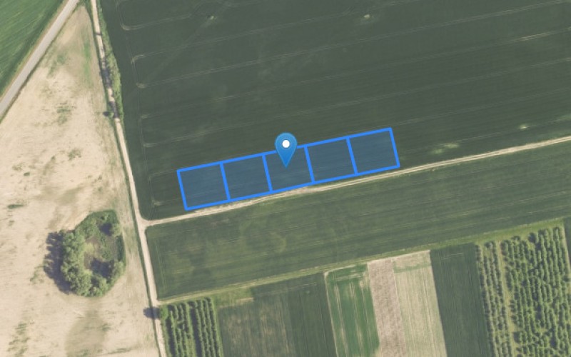 Grunt w miejscowości Janczewo, Janczewo (lubuskie). Działki numer: 369/6, 369/4, 369/3, 369/2, 369/5. Działki i grunty. Janczewo, 66-431, Janczewo, (woj. lubuskie)