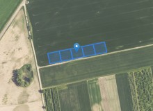 Grunt w miejscowości Janczewo, Janczewo (lubuskie). Działki numer: 369/6, 369/4, 369/3, 369/2, 369/5. Janczewo, 66-431, Janczewo, (woj. lubuskie)