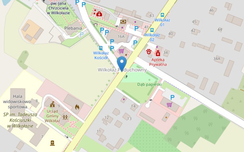 Grunt w miejscowości Wilkołaz Poduchowny, Wilkołaz Poduchowny (lubelskie). Działki numer: 249, 314, 250, 315. Działki i grunty. Wilkołaz Poduchowny, 23-212, Wilkołaz Poduchowny, (woj. lubelskie)