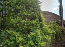 Dom w miejscowości Pecna, Kozia 16 (wielkopolskie). Działka numer: 24. Domy. Kozia 16, 62-053, Pecna, (woj. wielkopolskie)