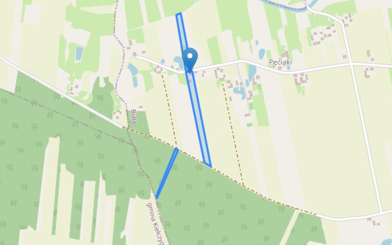 Dom w miejscowości Biała, Biała 237 (łódzkie). Działki numer: 60/1, 217/1, 294. Domy. Biała 237, 98-332, Biała, (woj. łódzkie)