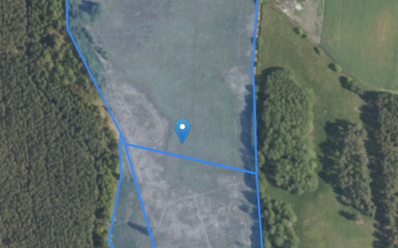 Grunt w miejscowości Lisy, Lisy (warmińsko-mazurskie). Działki numer: 55, 56, 50/1. Działki i grunty. Lisy, 12-230, Lisy, (woj. warmińsko-mazurskie)