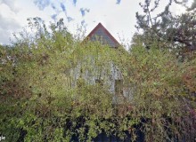 Dom w miejscowości Wólka Kozodawska, Wichrowa 11 (mazowieckie). Działka numer: 295/1. Wichrowa 11, 05-500, Wólka Kozodawska, (woj. mazowieckie)