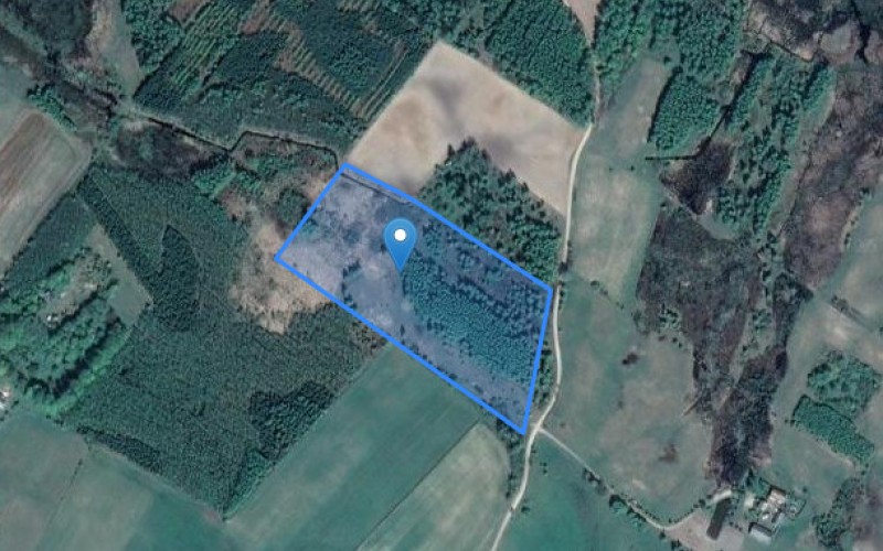 Grunt w miejscowości Sołdany, Sołdany (warmińsko-mazurskie). Działka numer: 55/4. Działki i grunty. Sołdany, 11-500, Sołdany, (woj. warmińsko-mazurskie)